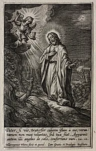 The Passion: The Agony in the Garden