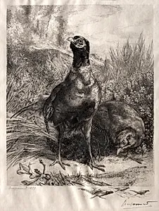 The Pheasants by Félix Bracquemond (French, 1833–1914)