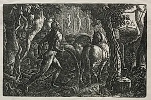 The Ploughman