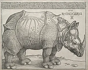 The Rhinoceros by Albrecht Dürer (German, 1471–1528)