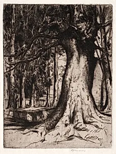 The Sycamore by David Young Cameron (British, 1865–1945)