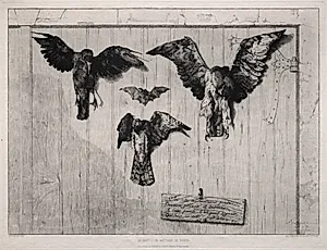 The Top of the Swing-Door by Félix Bracquemond (French, 1833–1914)