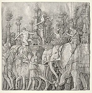 The Triumphs of Caesar: The Elephants