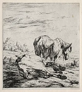 The Two Horses by Charles Meryon (French, 1821–1868)
