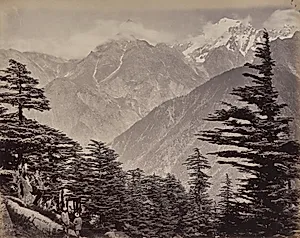 The Upper Himmalayahs. View Near China Mountains. Deoders in the Foreground by Samuel Bourne (British, 1834–1912)