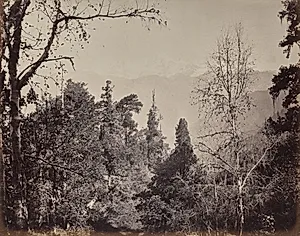 The Upper Himmalayahs. View of the Mountain of Bunderpoonch with the Jumnootri Peak, 20,458 above the Level of the Sea by Samuel Bourne (British, 1834–1912)