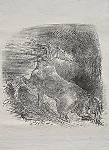 The Wild Horse, or Frightened Horse Leaving the Water by Eugène Delacroix (French, 1798–1863)
