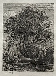 The Willow by Samuel Palmer (British, 1805–1881)