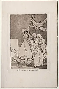 There They Go Plucked, Plate 20 by Francisco de Goya (Spanish, 1746–1828)