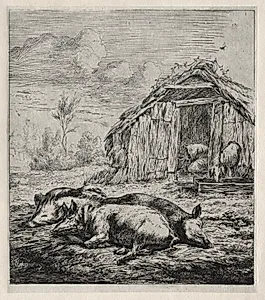 Three Swine Lying in Front of a Sty by Charles Meryon (French, 1821–1868)
