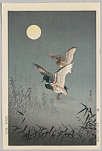 Tokyo Views: Ducks by Tsuchiya Kōitsu (Japanese, 1870–1949)