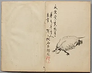 Tortoise from Sketch Album by Kawanabe Kyōsai (Japanese, 1831–1889)