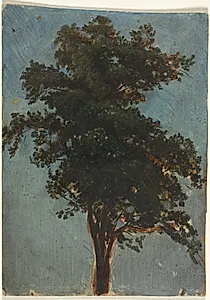 Tree Study