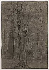 Trees by Leopold Bode (German, 1831–1906)