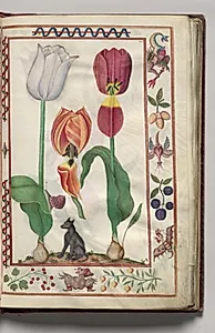 Tulips, Snail, and Dog with Hybrid Creature Border, folio 8 (recto), from Florilegium (A Book of Flower Studies) by Unknown Artist