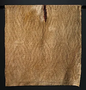 Tunic with Double-headed Serpents by Unknown Artist