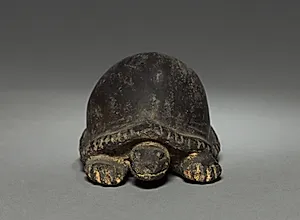 Turtle by Unknown Artist