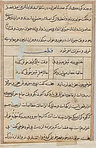 Tuti-Nama (Tales of a Parrot): Tale XIII by Unknown Artist