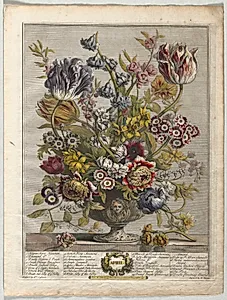 Twelve Months of Flowers:  April
