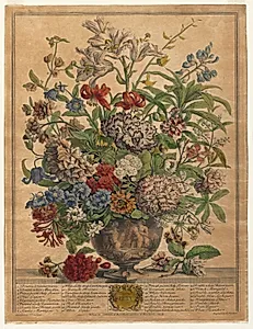 Twelve Months of Flowers:  July