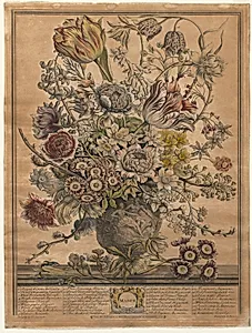 Twelve Months of Flowers:  March