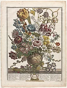 Twelve Months of Flowers:  March
