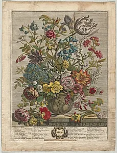 Twelve Months of Flowers:  May