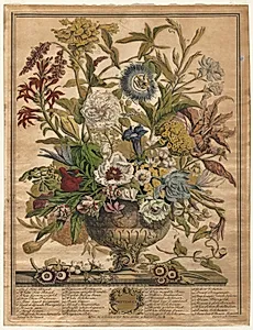 Twelve Months of Flowers:  September