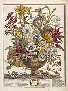 Twelve Months of Flowers:  September
