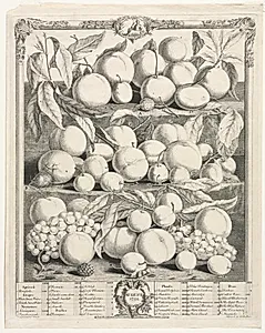 Twelve Months of Fruit:  August