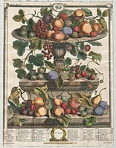 Twelve Months of Fruit:  June
