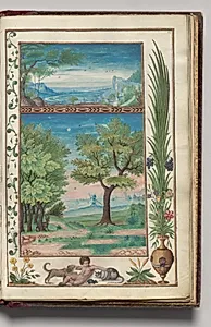 Two Landscapes with Dog, Putti, Rat, Cat, and Urn Border, folio 41 (recto), from Florilegium (A Book of Flower Studies) by Unknown Artist
