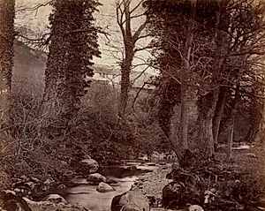 Untitled by John Lloyd (British, 1865)