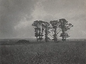 Untitled by William J. Mullins (American, 1860–1917)