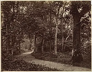 Untitled (Landscape) by Unknown Artist