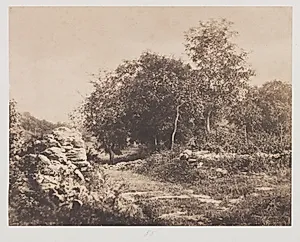 Untitled (Scene of Fontainebleau) by André Giroux (French, 1801–1879)