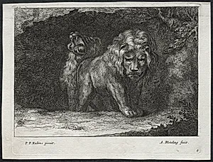 Various Lions