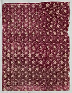 Velvet Fragment by Unknown Artist