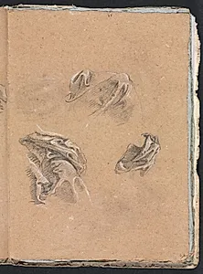 Verona Sketchbook: Drapery studies (page 69)