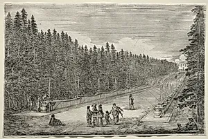 Views of the Villa of Pratolino:  The Promenade of the Fountains