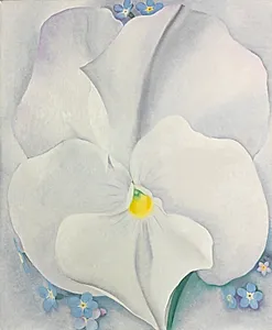 White Pansy by Georgia O'Keeffe (American, 1887–1986)