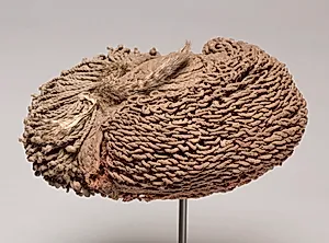 Wig (uyembe matota, wiyembe, or pulumba) by Unknown Artist