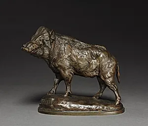 Wild Boar