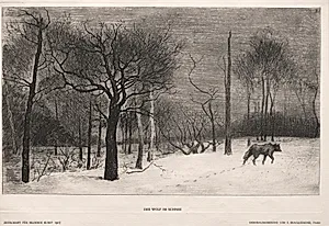 Winter by Félix Bracquemond (French, 1833–1914)
