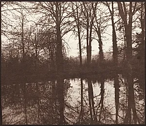 Winter Trees Reflected in a Pond by William Henry Fox Talbot (British, 1800–1877)