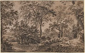 Wooded Landscape