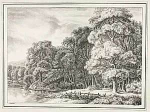 Woodland Scenery with Lake