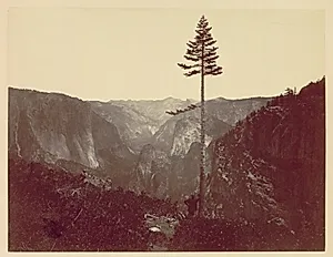 Yosemite Valley from Mariposa Trail by Charles Leander Weed (American, 1824–1903)
