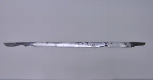 Blade for a Straight Single-Edged Sword (Chokutō)