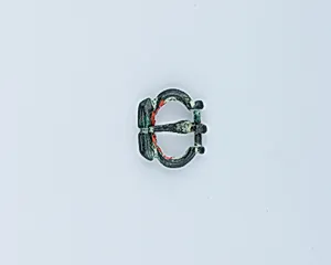 Buckle